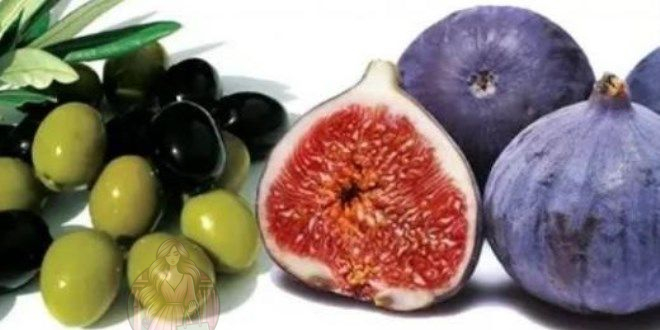 فوائد التين والزيتون