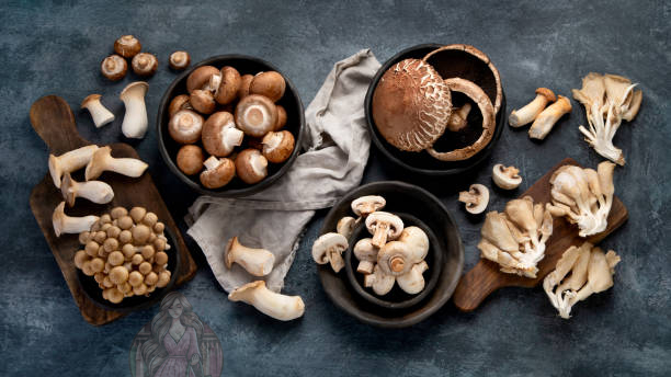 الفطر.. مزيل طبيعي لـ"رائحة المسنين" 5 الفطر.. مزيل طبيعي لـ"رائحة المسنين"