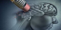 تعزيز خلايا الدماغ العصبية يمكن أن يعالج فقدان الذاكرة.. أول دراسة تثبت