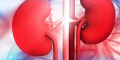 5 تغييرات في نمط الحياة تدعم الكلى
