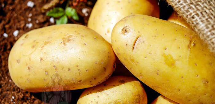 4 طرق صحية لتناول البطاطا والاستمتاع بالقيمة الغذائية