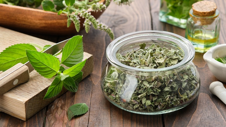 النعناع والفلفل الحار والأوكالبتوس.. مزيج خارق لمكافحة الالتهاب