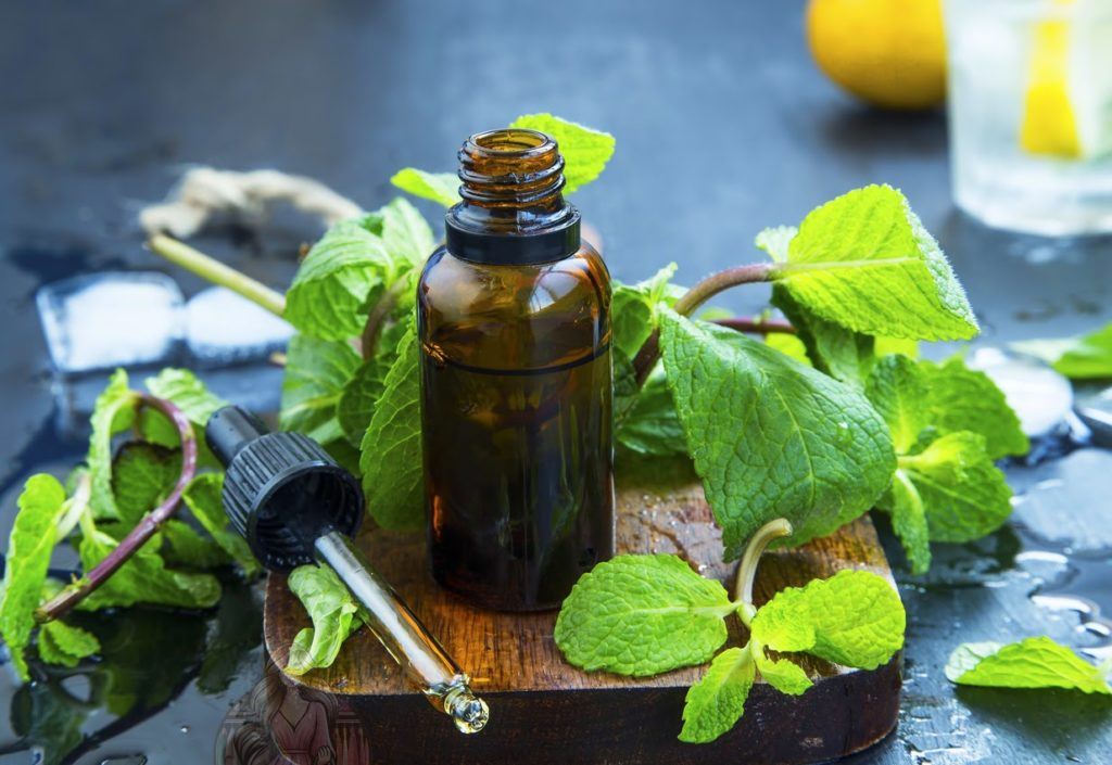 النعناع والفلفل الحار والأوكالبتوس.. مزيج خارق لمكافحة الالتهاب