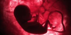 دراسة: المشيمة قد تكشف مبكراً خطر الفصام
